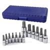 Torx Bit Socket Set, Torx Wrench, 6.35mm, 9.5mm, 12.7mm Drive, 13-Piece Set