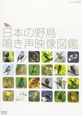DVD DVD Видеогид по голосам диких птиц NHK Japan Movies DVD Б/У
