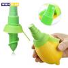 Manual Orange Juice Squeeze Juicer Lemon Spray Mist Orange Fruit Squeezer Sprayer for Salad Fresh Flavor Kitchen Cooking Tools