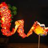 Handmade Handheld Dragon Lantern Traditional LED Lantern Toys  Festival Party Supplies