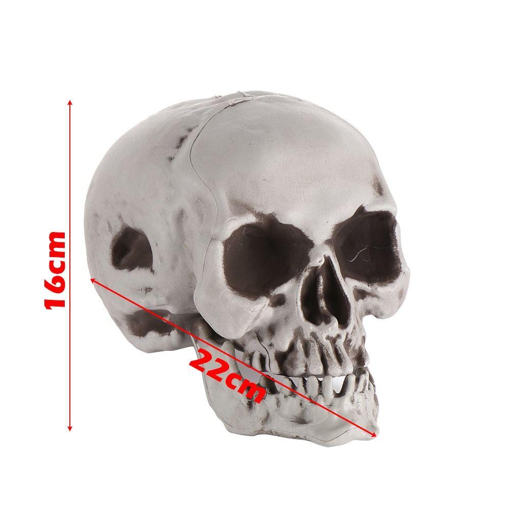 1PC High Quality Home Decor Party Decoration Hanging Decor Skull Head Human Skeleton Halloween Props