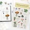 1PC Life Fragments Series Ins Hand drawn Graffiti Plants Life Decoration PET Stickers DIY Diary Scrapbook Stickers