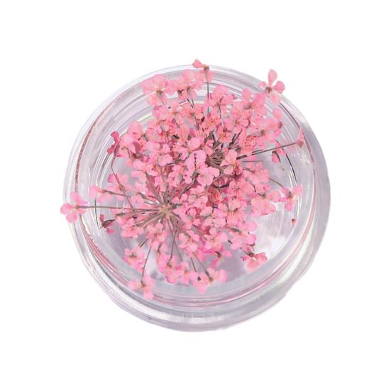 1 коробка подвески для ногтей, не выцветающие, «сделай сам», легко наносятся, изысканные красочные натуральные цветы, художественное украшение для маникюрного магазина