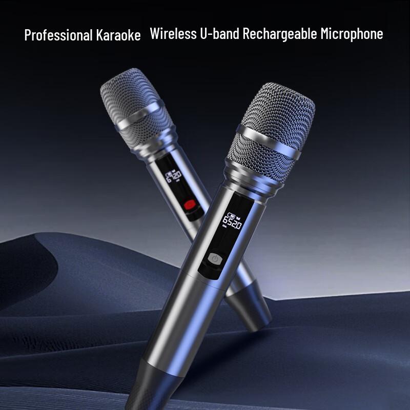 Портативная уличная Bluetooth-колонка Newsmy N550 12 дюймов с двумя микрофонами (Китайская версия)