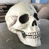 Creepy Plastic Open Mouth Skull Skeleton Haunted House Decor Halloween Prop