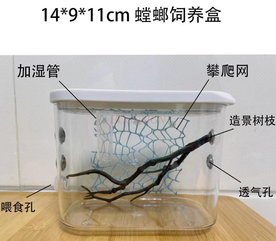 Hymenopus Coronatus Breeding Box Stick Insect Grasshopper Reptile Ecological Box Insect Cage Chirping Pet
