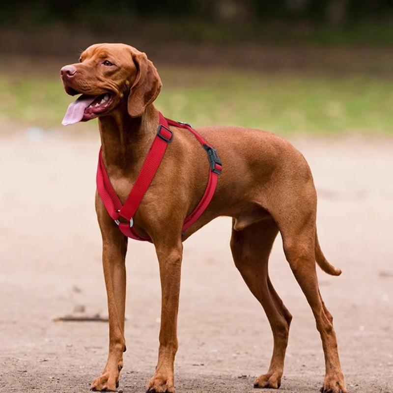 Leisure H-shaped Chest and Back Anti Slip Small Medium and Large Dog Outdoor Vest Style Pet Dog Strap Walking Portable Accessories Adjustable Vest