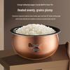 Supor 2L IH Far Infrared Rice Cooker CN plug (adapter included)