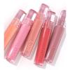 Etude Glow Fixing Tint 5ea
