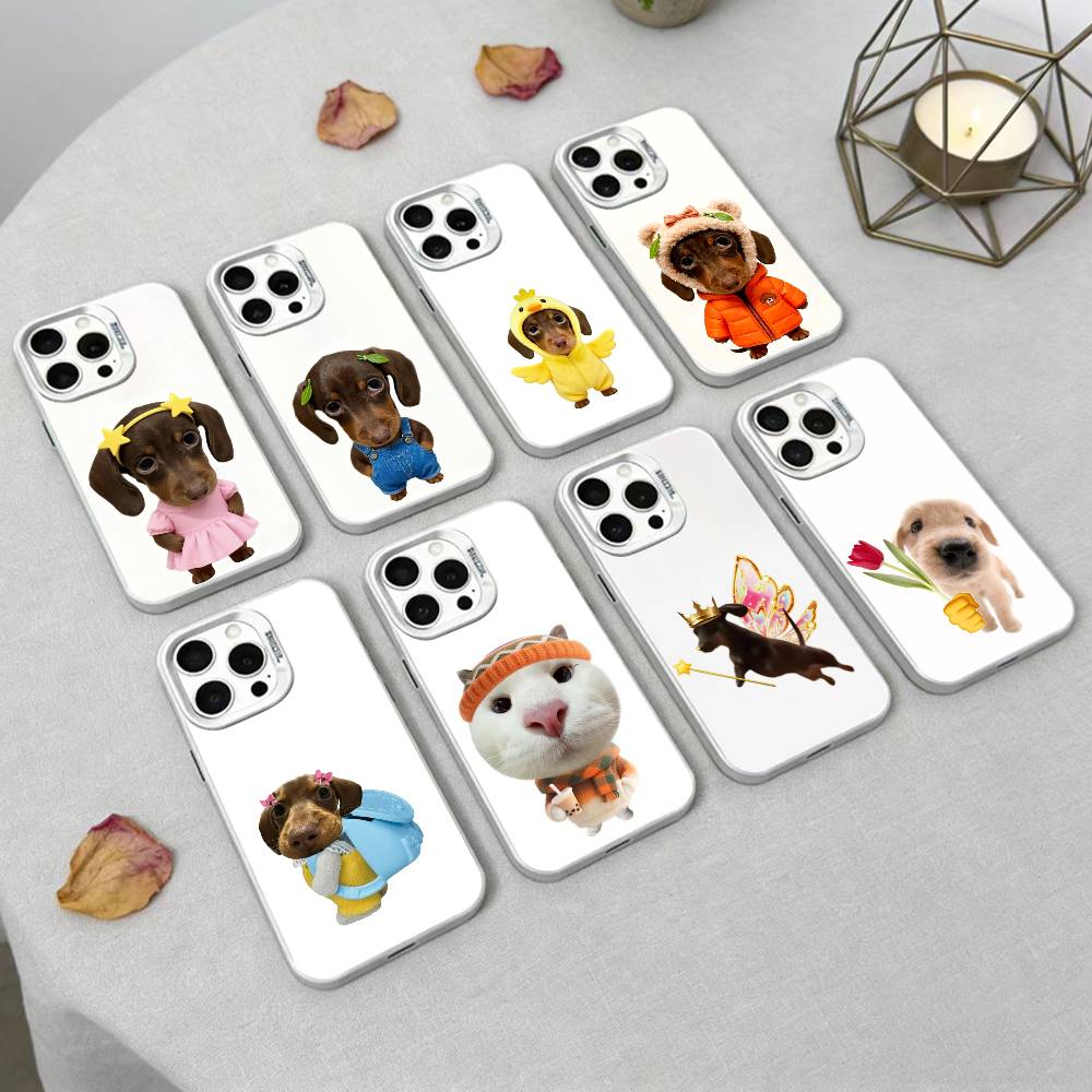 Забавный C-Dogs Большие глаза Чехол для телефона Для iPhone17, 16,15,14,13,12 Pro Max Черный Конфетный Матовый Ударопрочный Чехол