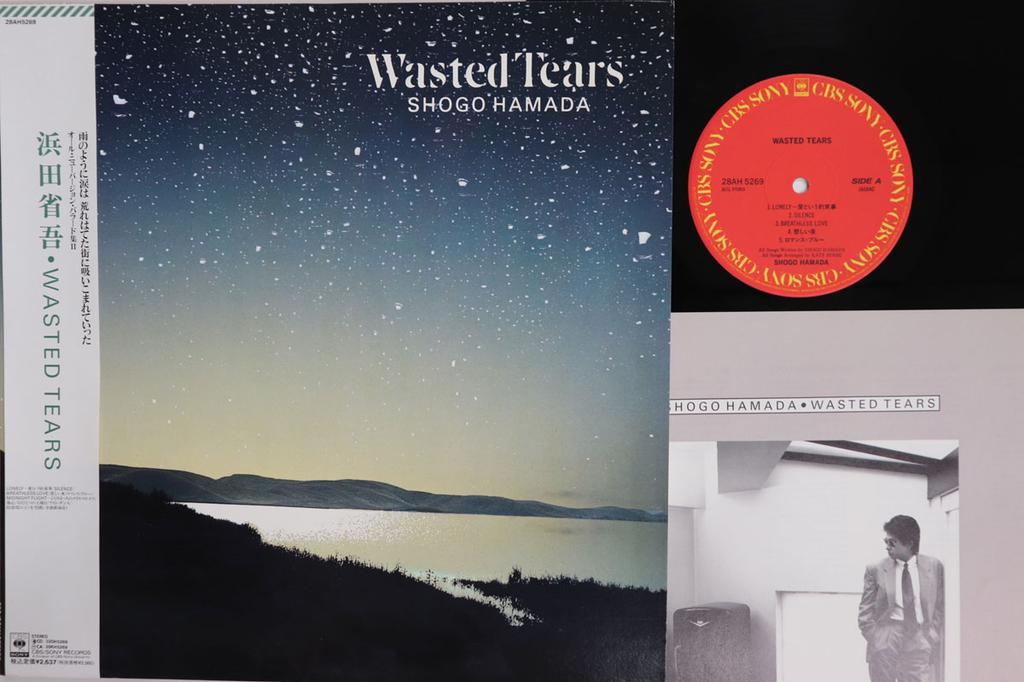 Виниловая пластинка SHOGO HAMADA Wasted Tears 28AH5269 CBS SONY 1989 Япония Оби Японский Поп-Рок Б/У