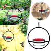 Beautiful Hanging Hummingbird Feeder Ant Bee Proof Easy To Fill Wear-resistant Outdoor Bird Feeder With Perch Ring