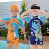 Children's Boys' One-Piece Short-Sleeve Swimsuit: Medium & Large, Quick-Dry, UV Protection