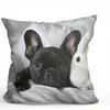 French Bulldog Patterned Doublesided Printed pillow cover Short plush Suitable living rooms bedrooms sofas throw cushion cover