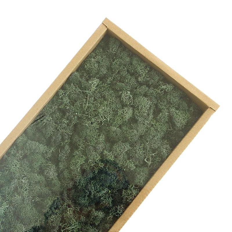 Preserved Flower & Moss Wall Decoration Kit: Flower Gift Box Materials