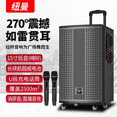 Портативная караоке-колонка Newmine K33, 12 дюймов, штепсель CN (адаптер в комплекте)