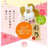 Osaka Choseido Miffy Hina Compact with Name Engraving and Wooden Tag Ceramic Mini Miffy Hina Dolls Dolls, Mini, (Shipped Separately), (Large)