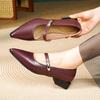 Pointed Retro High-heeled Single Shoes Women's Summer Spring New Comfortable Simple Shoes Flight Attendant Temperament Elegant Women's Shoes