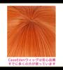 CaseEden Cosplay Wig, Premium, Smooth, Short, Heat-Resistant, Dark Orange (WIG6183)