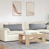 Sofa Cushions 2 pcs Light Grey 120 x 40 cm Fabric