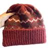 Knitted Knit Skull Beanie Hat Windproof Fall Winter Cool Cap Versatile Wool Blend Beanie  Girls