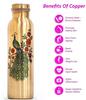 Ayurveda Pure Copper Water Bottle 1L Peacock Print Matte Finish Set of 4