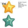 Small Star Magnets 2Pcs 3D Refrigerator Magnet, Resin Shape Fridge Shaped Decorations Magnetic Decoration for Kitchen Office Whiteboard Cabinet
