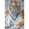 5D DIY Diamond Painting Full Round Drill Tiger Animal Rhinestones Diamond Embroidery Cross Stitch Mosaic Wall Art Home Decor