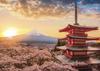 5D diamond painting - Spring Dawn Jigsaw Puzzle Mount Fuji Cherry Blossoms (Yamanashi) embroidery decorative gift holiday (20X30cm)