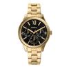 Часы RYE BQ3757 Gold [Fossil] женские