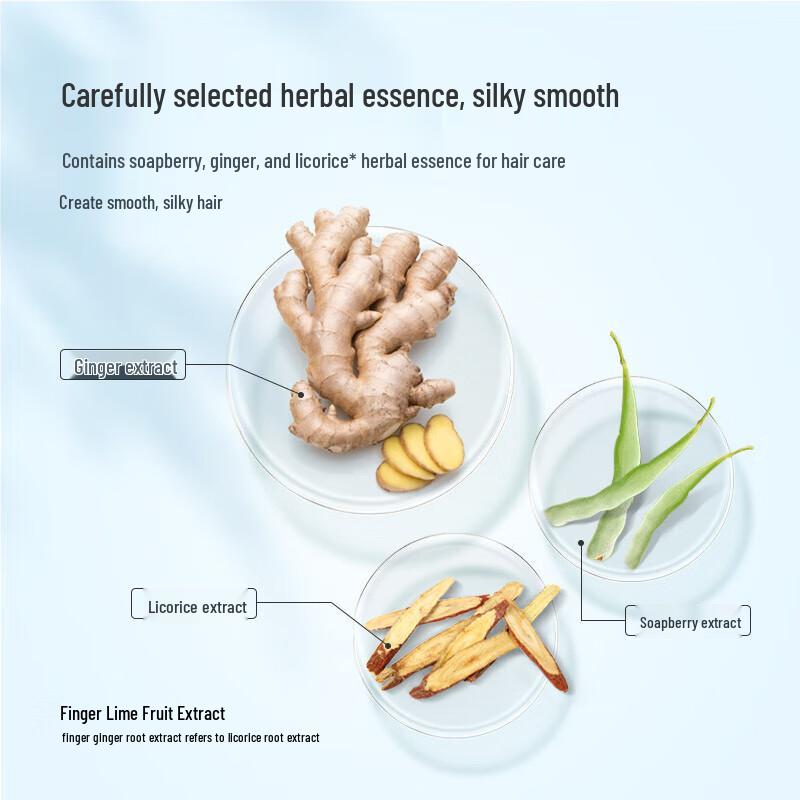 Feng Hua Herbal Essence Anti-Dandruff Shampoo