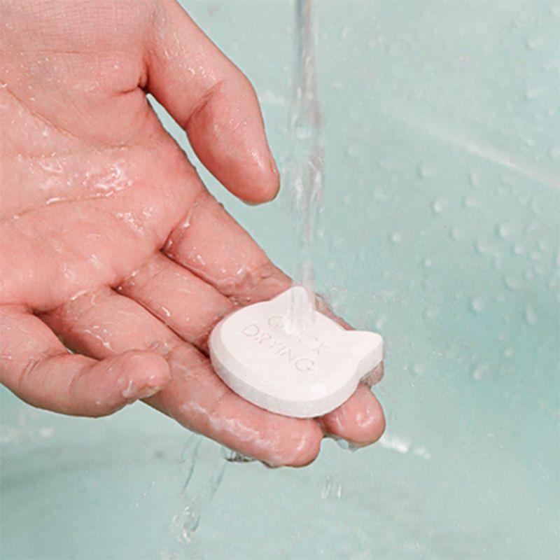 Home Pet Dry Food Moisture Absorbers Kitchen Seasoning Hygroscopic Item Reusable Food Grade Diatomaceous Earth Blocky Desiccant