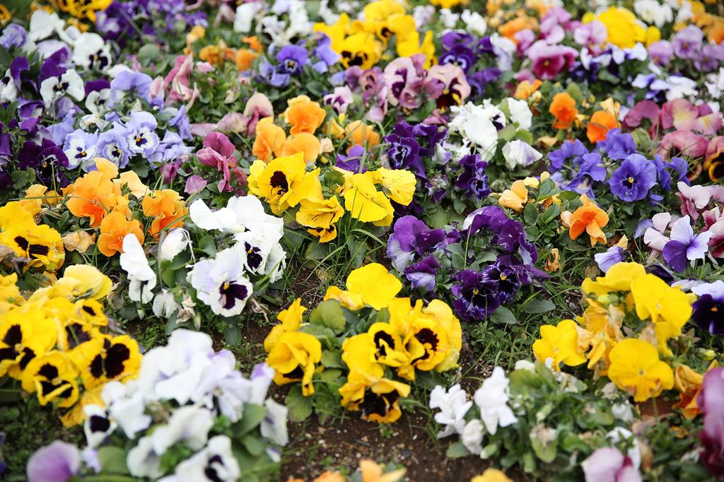 Восстановленный корпус цифровой зеркальной камеры Canon EOS 5D Mark III (EOS5DMK3)