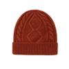 Winter Hat Warm Knitted Thick Cap for Women Sheep Wool Twist Hat Cashmere Handle Jacquard Hat