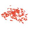 100pcs Orange Carrot Button 4 Sizes DIY Cute Wood Buttons for Crafting Sewing Christmas with 2
