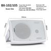 SHILE Wireless Bluetooth Wall-Mounted Speaker System with Dual Mics (CN version)
