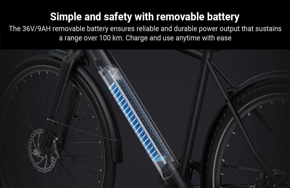 DYU Stroll 1 Electric Bike, 250W Motor, 36V 9Ah Battery, 700*38C CST Tire, 25km/h Max Speed, 100km Range