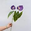 Искусственные цветы Антуриум 2 головки Стебли фальшивых цветов для свадебной церемонии Цветочные композиции Украшение торговых центров