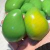 Манговый Сквиш-мячик Антистресс Манго Меняющий Цвет Мячик-Сжималка ASMR Сенсорный Игрушка-Спиннер для Детей и Взрослых при СДВГ Снятие Стресса