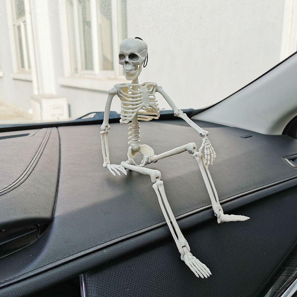Decoration Skeleton Anatomy Skeleton Human Skeleton Model Car Decoration People Active Model