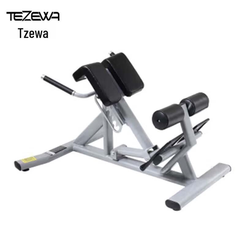Tezewa Professional Roman Chair Fitness Bench