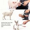 2pcs Piglet Teeth Cutter Pliers Stainless Steel Pig Tooth Cutter Scissor for Pig Sheep Rabbit Pet Animal