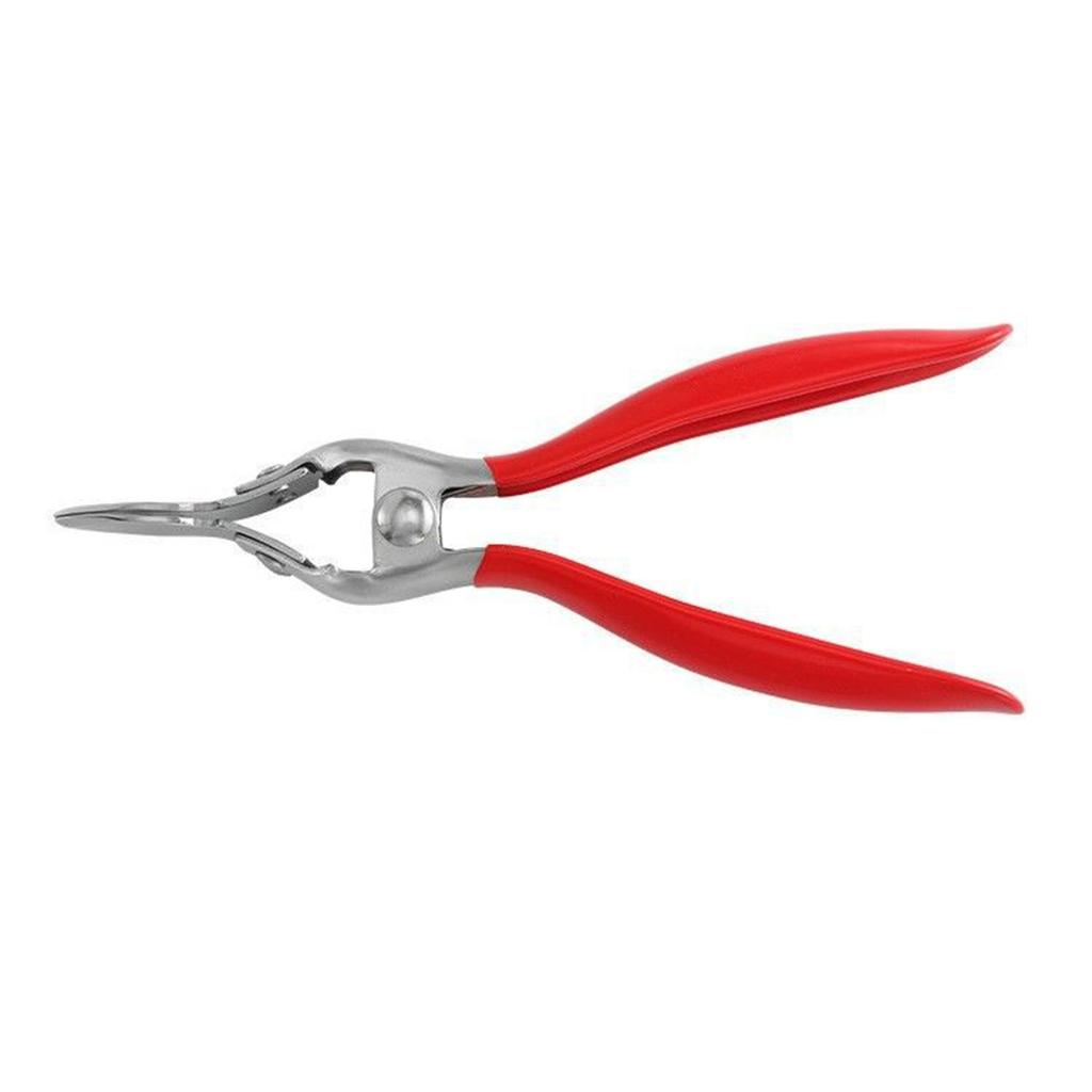 Coconut Shell Breaker 430Stainless Steel Convenient Present for Durian Fruit Lover for Opening Durians and Cracking Nuts