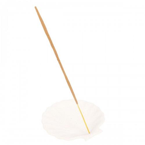 Something Different Scallop Incense Holder