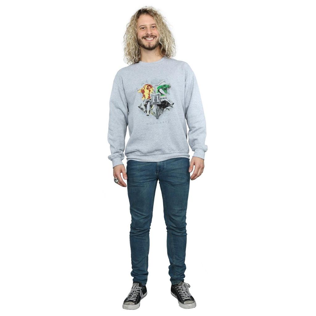 Harry Potter Mens Hogwarts Painted Crest Sweatshirt