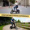Twofish TF03 Three-wheeled Electric Scooter 500W Motor 48V15Ah Battery 28km/h Max Speed 30km Max Range