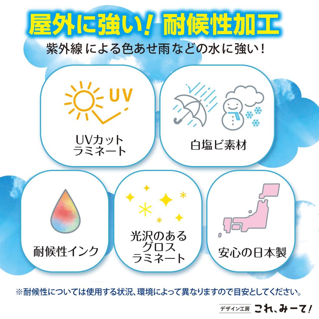 [Отражение] Наклейка Видеорегистратор Регистратор Регистратор Во время записи, Во время движения, Черный (Черный светоотражающий)