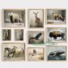 Wildlife Animals Deer Horse Cow Poster Canvas Printing Vintage Wild Animals Oil Painting Wall Decor Retro Fine Art Decoration