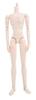 Obitsu Doll 27cm Obitsu Body Male Slim Type New White Soft Vinyl Articulated Figure