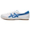 Tsg-110 Fabric Sports Comfortable Low-Top Lifestyle Casual Shoes Unisex Casual Shoes Blue White 1203A317-102